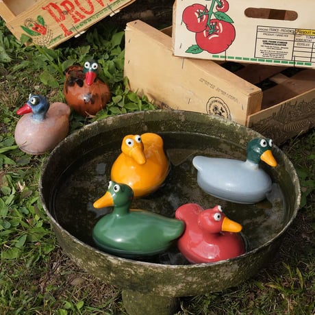 FLOATING DUCK GREEN