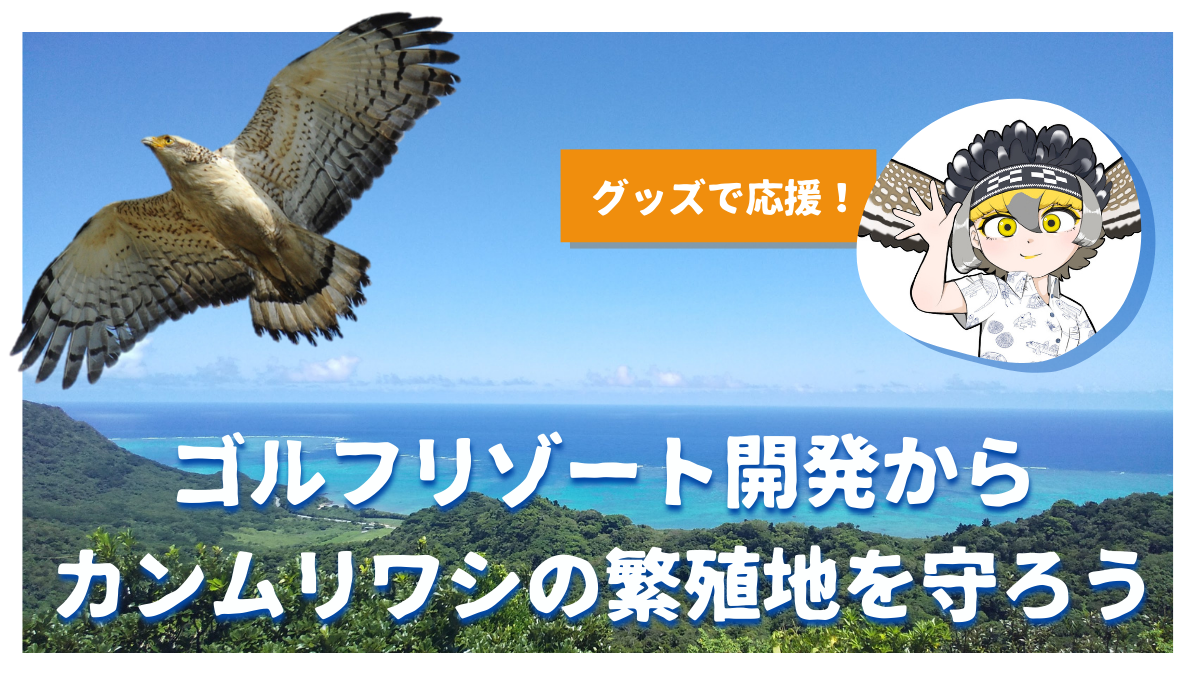 kanmuri_washi_sato_mori