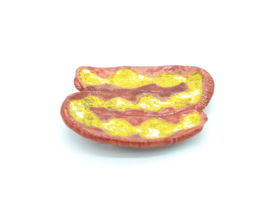 67b978dafd5b0738fc4e1032