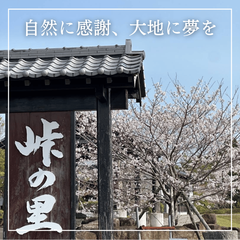 緑茶ティーバッグ（100g / 5g×20P） | 井尻太郎茶園