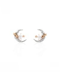 Moon and stars pierce