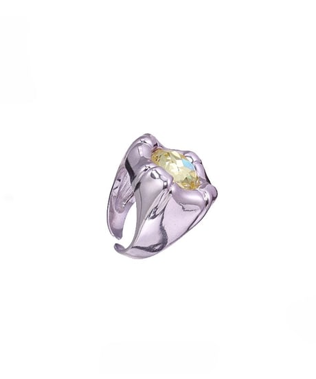 Jewelry in teeth ring