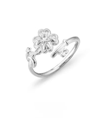 Lucky clover key ring
