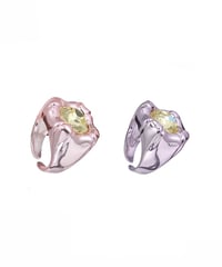 Jewelry in teeth ring