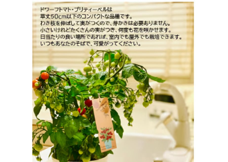 67d3af101ef430644267c616