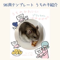 【無料】SNS用テンプレート うちの子紹介フレーム　kuku's room