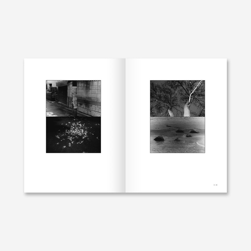 原田教正 The Meeting of Two Eyes【通常版】 | YAMADA Book