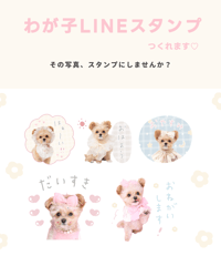 わが子・ペットの写真で作る♡オリジナルLINEスタンプ