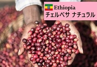 Ka エチオピア・チェルチェレW ボリビア・ナチュラル 各5kg（生豆） Ka