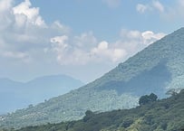 El Salvador ロス ノガレス農園 ピンクブルボン  (中浅煎り)  100g