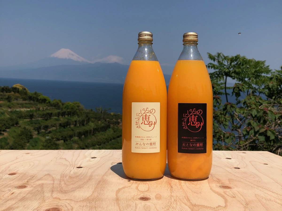 西浦みかん使用 みんなの蜜柑ジュース・大人のみかんジュース 計2本