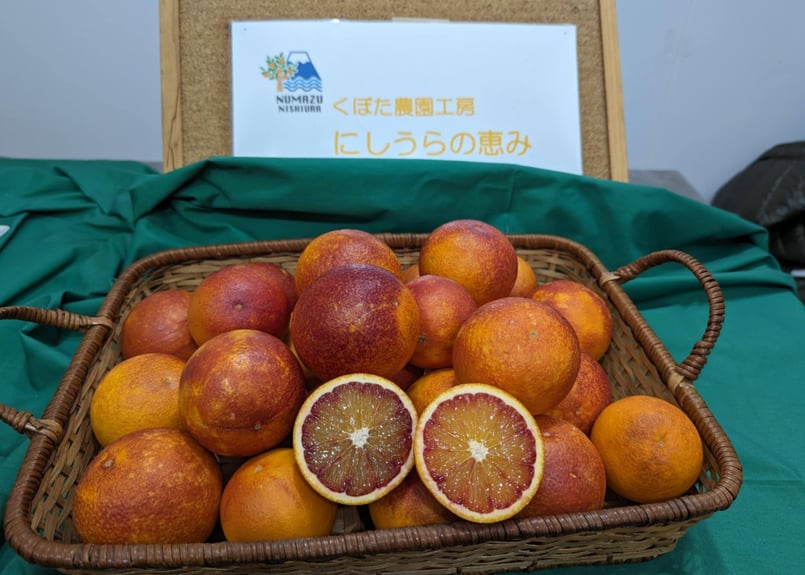 ブラッドオレンジ3キロ（沼津西浦産） | くぼた農園工房