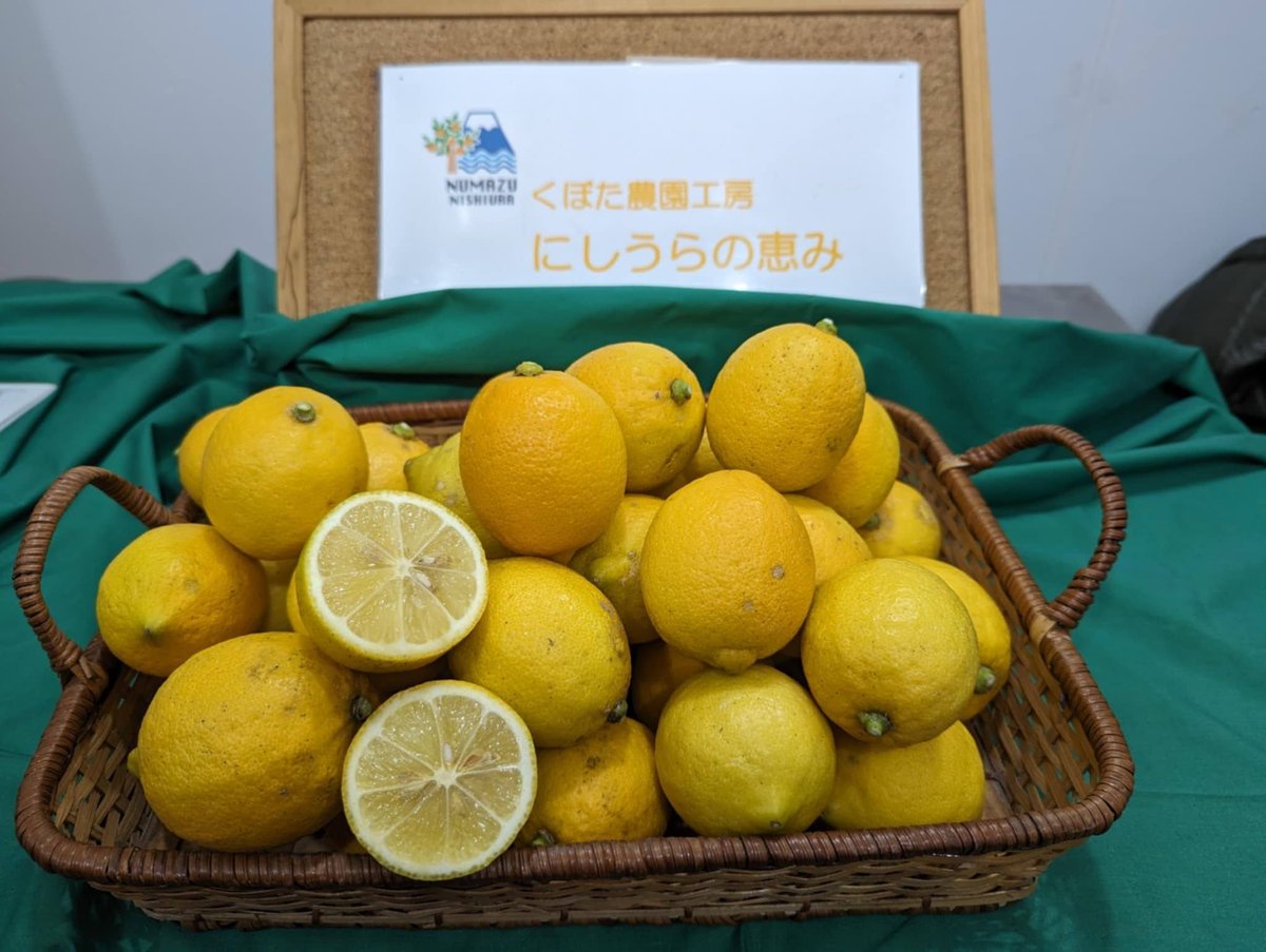 農薬不使用レモン3キロ（沼津西浦産） | くぼた農園工房