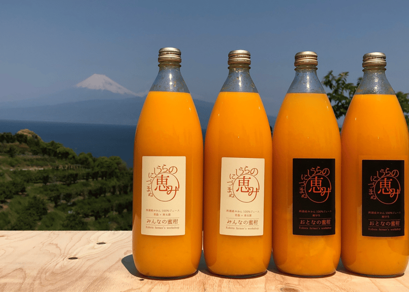 西浦みかん使用 みんなの蜜柑ジュース・大人のみかんジュース 計4本
