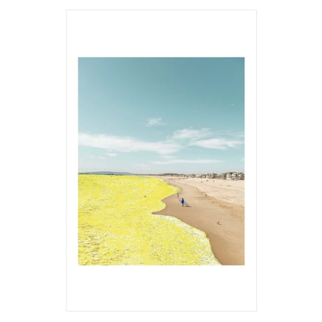 Sea abundance | 海の豊かさ