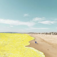 【ポスター】The kindness of the sea | 海のやさしさ