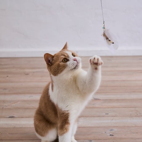 付け替えできる猫じゃらしセット（本体＋パーツ）