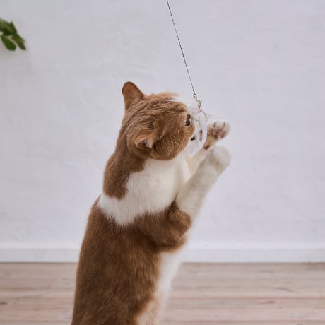 付け替えできる猫じゃらしセット（本体＋パーツ）