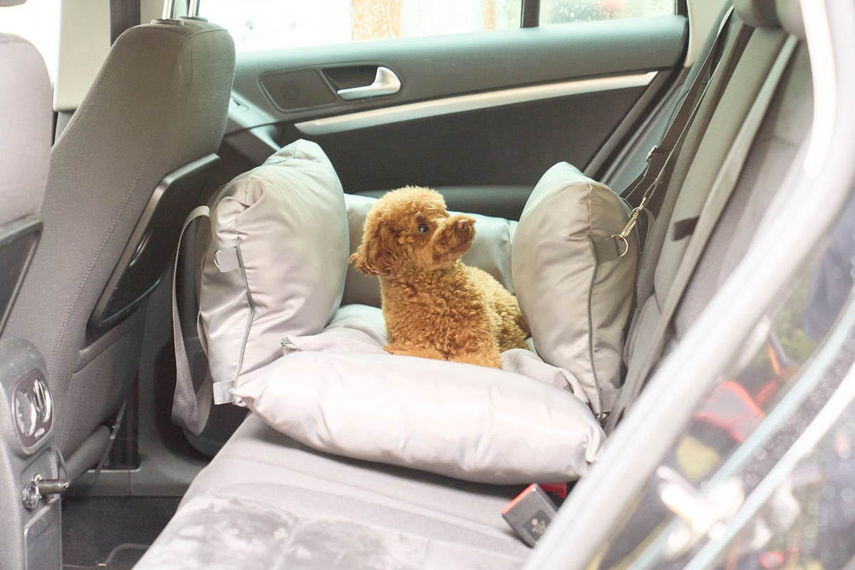 Dog ゆったり過ごせるドライブベッド キャリータイプ | Pet Quilt