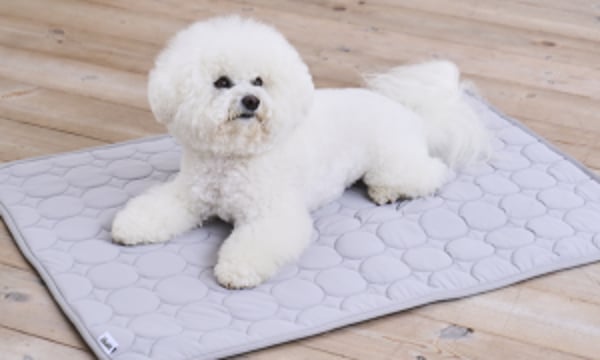 Pet Quilt (ペット キルト オンラインストア）