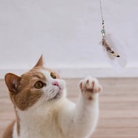 付け替えパーツ　リアルフェザーシリーズ