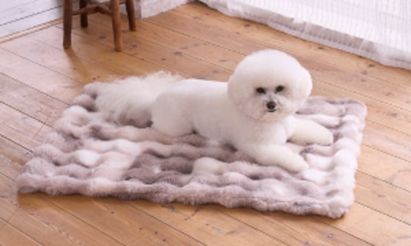 Pet Quilt (ペット キルト オンラインストア）