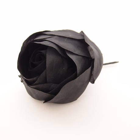 Rose（ブラック）No.8325-001