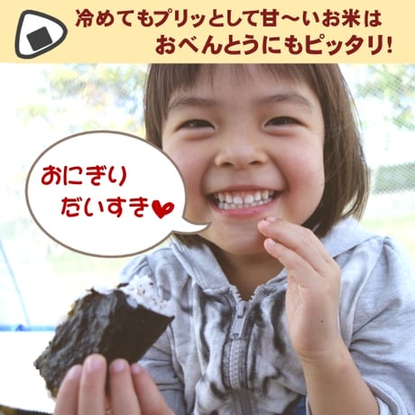 【令和7年度産】弥彦山の麓のお米「弥彦米」５kg（特別栽培米・コシヒカリ100%・除湿乾燥・２段階低温精米）
