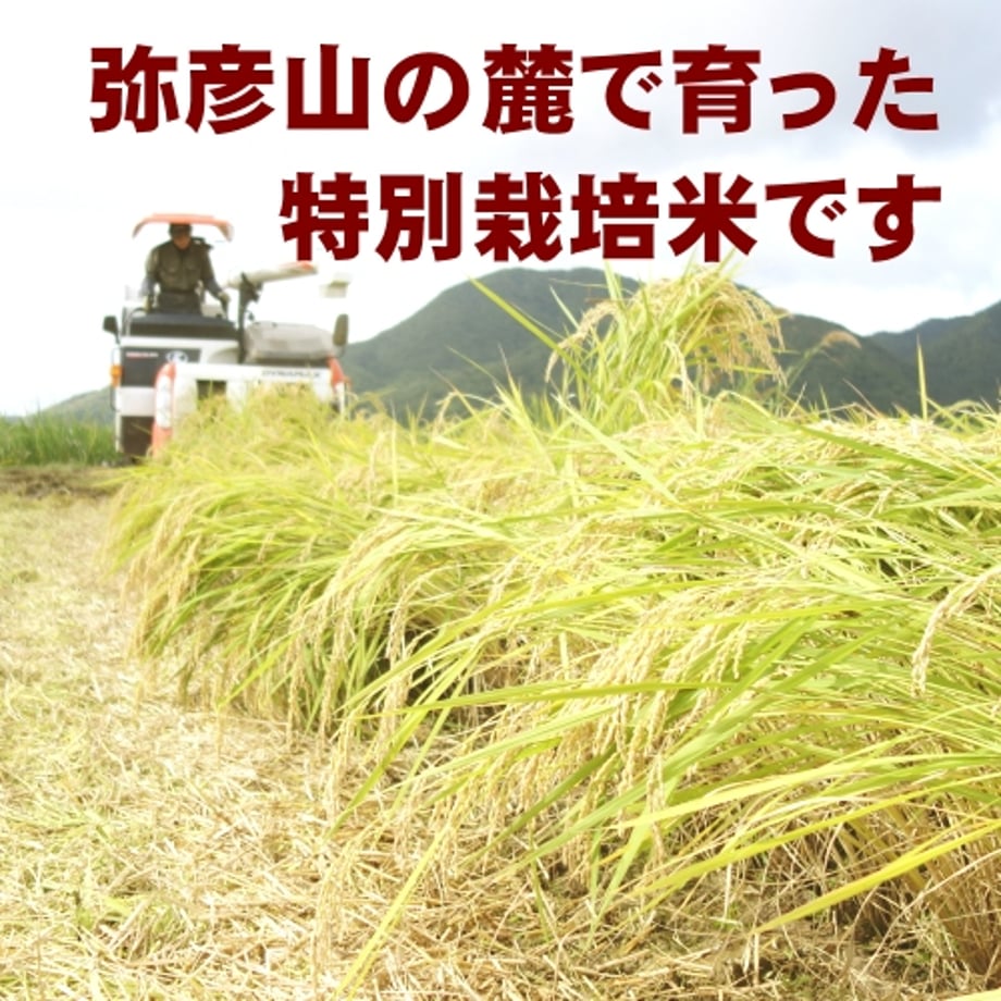 6790dea5d5019805b7b850a6