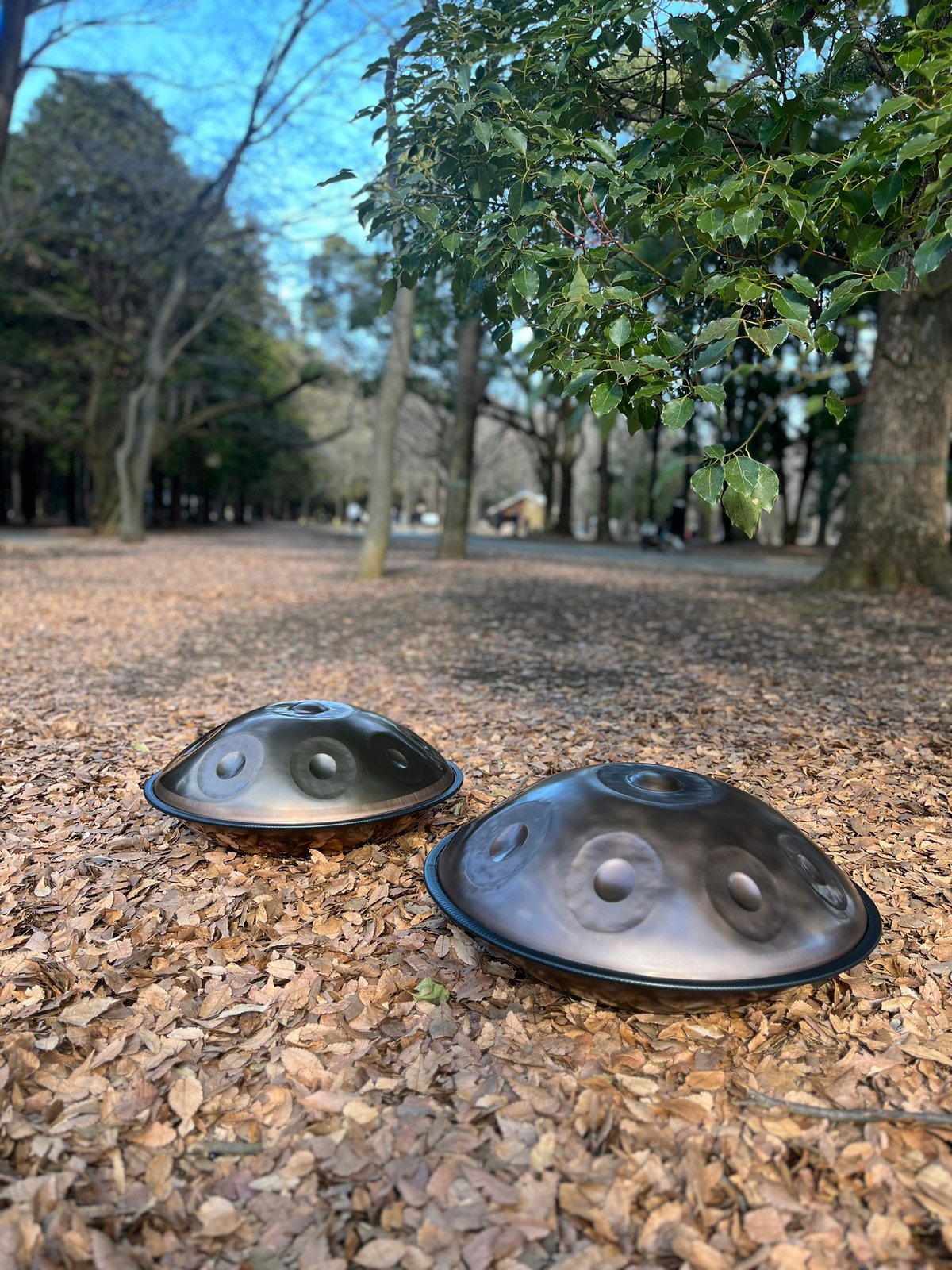 D Kurd 10 (カード) - FIRST MODEL | Selected HandPan
