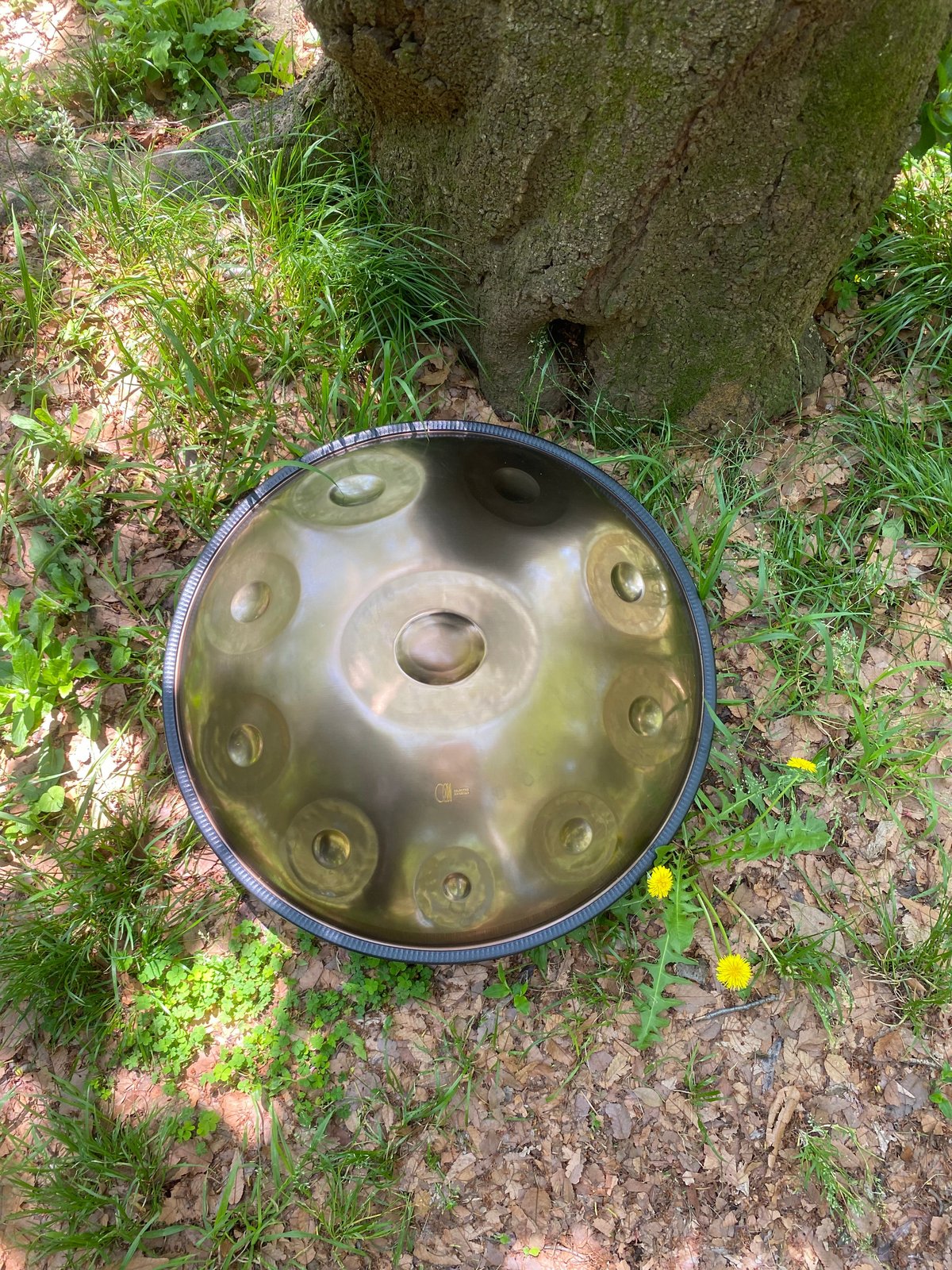 【美品】 Nova Drum D Sabye (D major) 10 First model - ファースト・モデル | D sabye 10 (Major) |