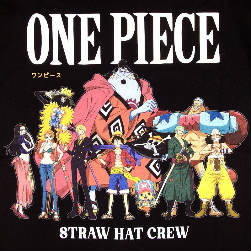 ONEPIECE ワンピースTシャツ 半袖 ルフィ サンジ ゾロ ナミ ロビン