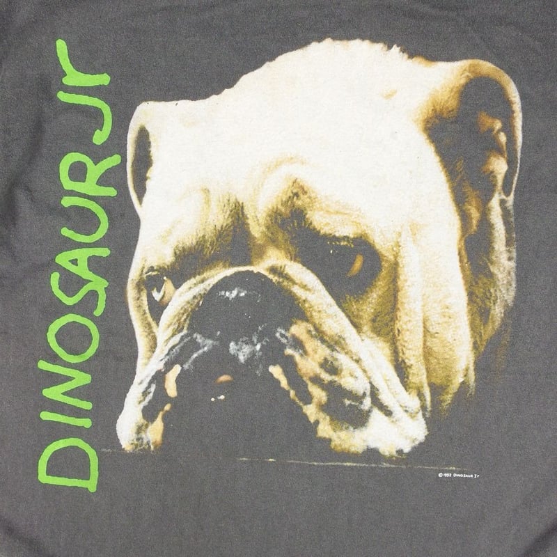 Dinosaur Jr ダイナソージュニア Tシャツ ブルドッグ USA チャコール