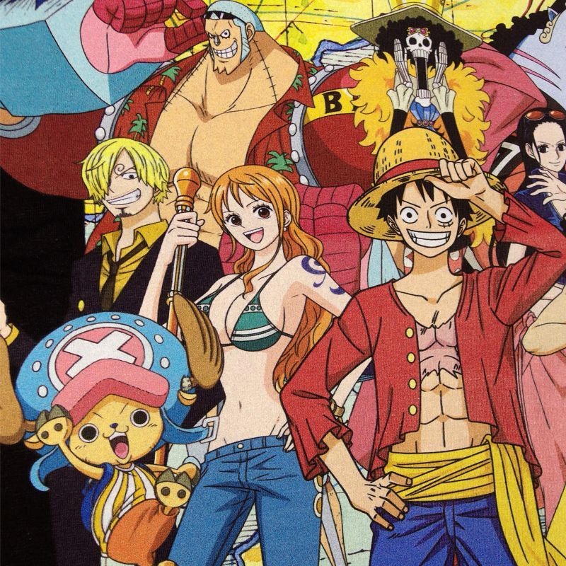 め*︎様 ゾロ、ナミ、サンジ、ウソップ、チョッパー、ロビン ワンピースエクセレン ONEPIECE ワンピースTシャツ 半袖 ルフィ サンジ ゾロ ナミ ロビン