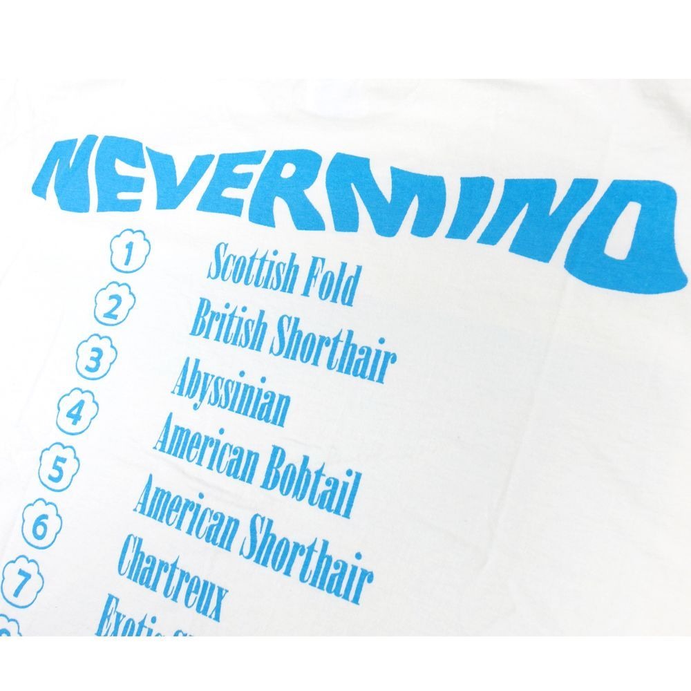 NIRVANA ニルヴァーナ Tシャツ Hanes製 ホワイト ニルバーナ NEVERMIND
