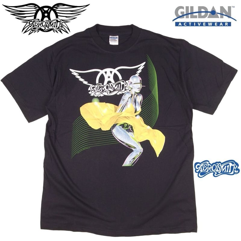 【美品】エアロスミス Aerosmith 2001 空山 Tシャツ ソラヤマ L AEROSMITH エアロスミス Tシャツ GILDAN製 ブラック Lサイズ メンズ