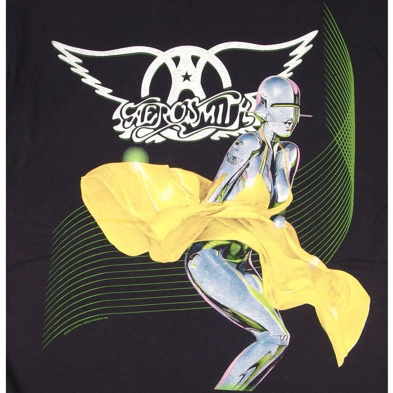 AEROSMITH エアロスミス Tシャツ GILDAN製 ブラック Lサイズ メンズ