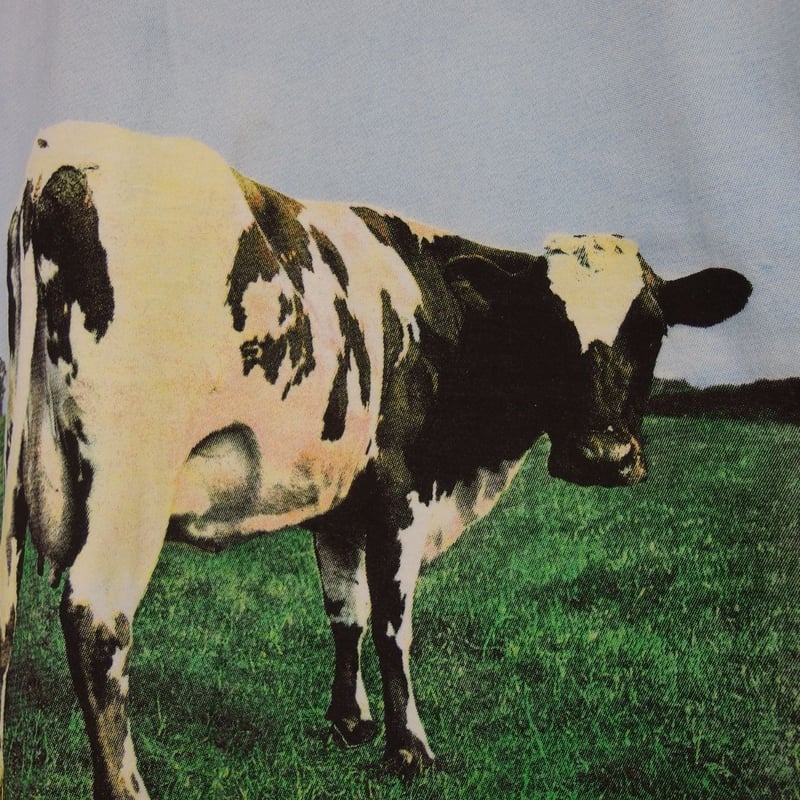 Pink Floyd (ピンクフロイド)牛 バンドTシャツ 90年代 Pink Floyd atomheart mother ピンクフロイド 牛 S/S Tシャツ L