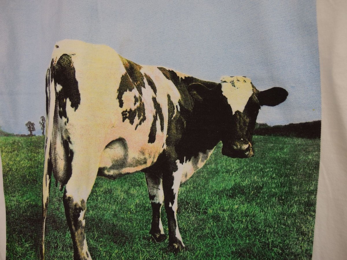 PINK FLOYD ピンクフロイド Tシャツ USA製 ホワイト Lサイズ ロック