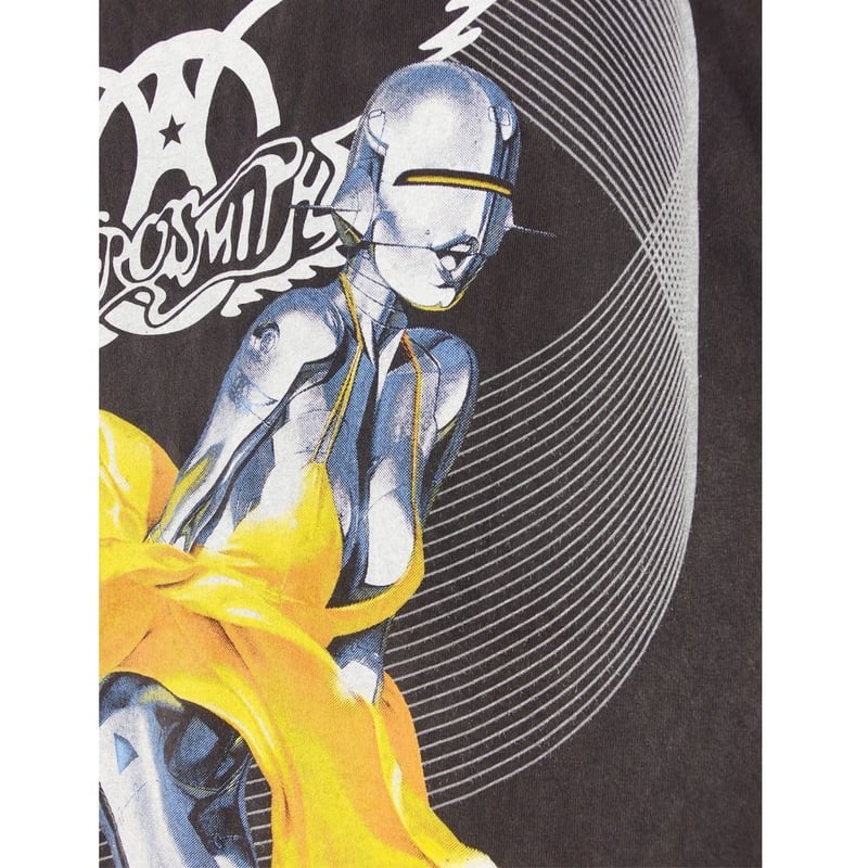 エアロスミス/ロックス・ドニントン 2014〈Tシャツ(Lサイズ)付き500セ… Amazon.co.jp: エアロスミス ロックス・ドニントン 2014【Tシャツ(L