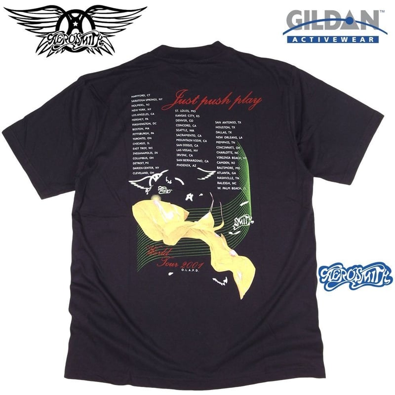AEROSMITH エアロスミス Tシャツ GILDAN製 ブラック Lサイズ メンズ