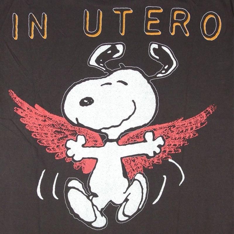 NIRVANA ニルヴァーナ Tシャツ Hanes製 チャコール ニルバーナ IN UTERO