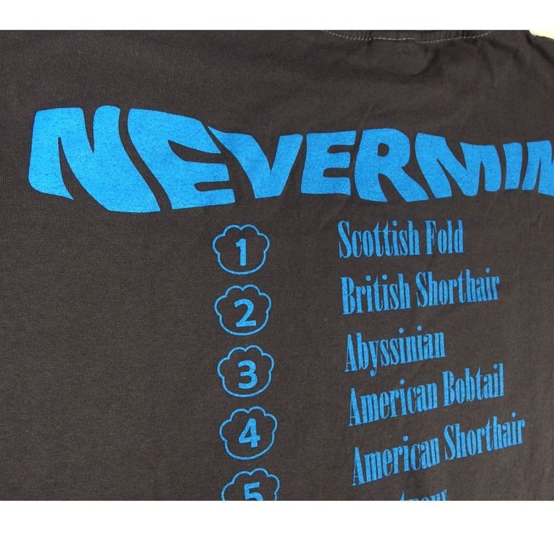 NIRVANA ニルヴァーナ Tシャツ Hanes製 チャコール Lサイズ ニルバーナ