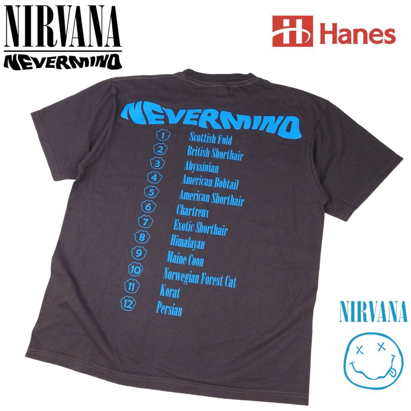 NIRVANA ニルヴァーナ Tシャツ Hanes製 チャコール Lサイズ ニルバーナ