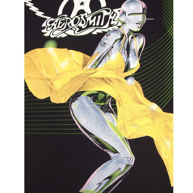 AEROSMITH エアロスミス Tシャツ GILDAN製 ブラック Lサイズ メンズ