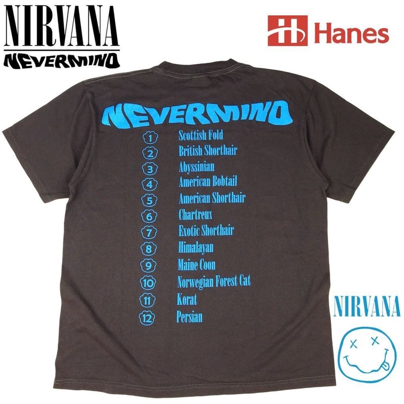 【激レア！】Nirvana 1992 ニルバーナ Tシャツ グレー　ドミニカ製 NIRVANA/ニルヴァーナ/SLIVER S/S TEE/コラボTシャツ | MANASTASH