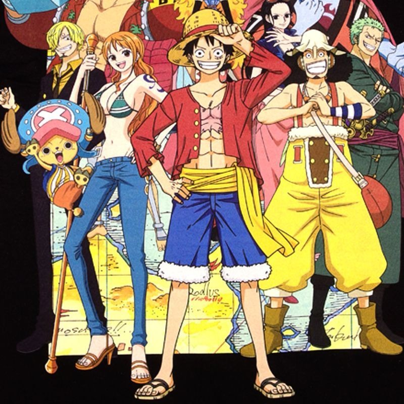 ONEPIECE ワンピースTシャツ 半袖 ルフィ サンジ ゾロ ナミ ロビン