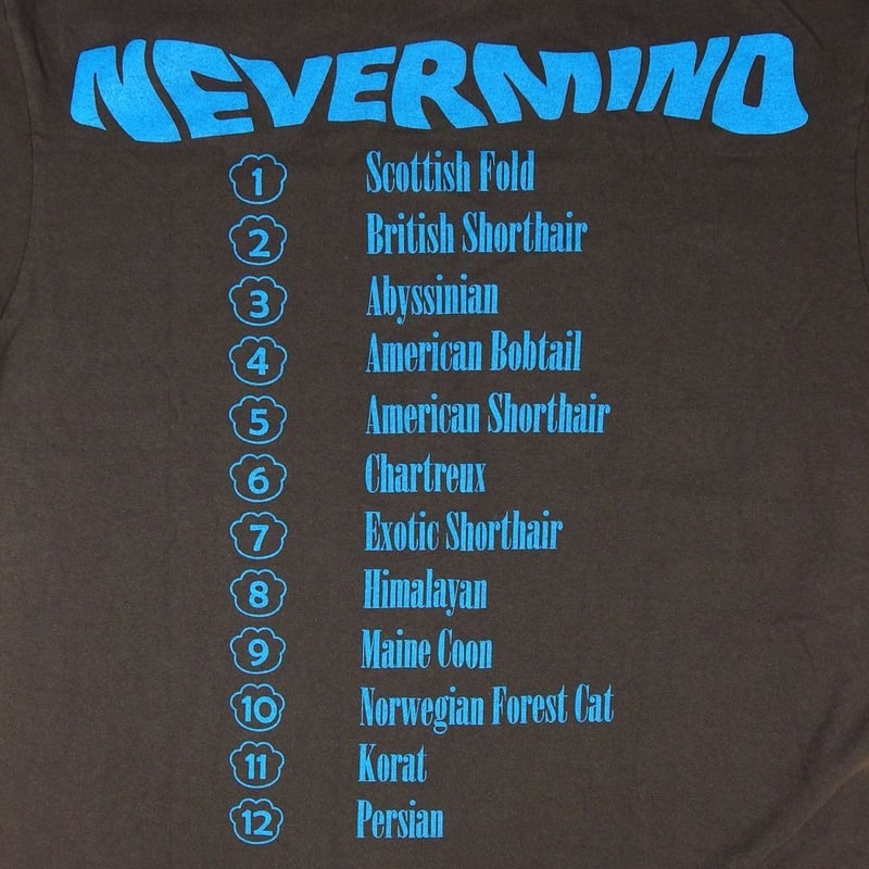 NIRVANA ニルヴァーナ Tシャツ Hanes製 チャコール Lサイズ ニルバーナ
