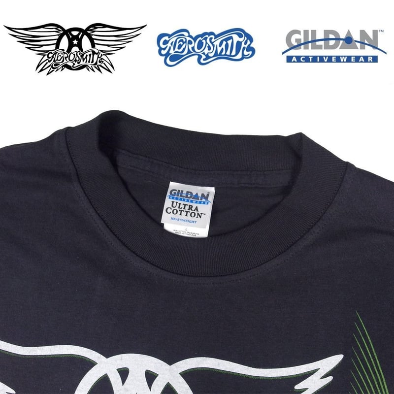 AEROSMITH エアロスミス Tシャツ GILDAN製 ブラック Lサイズ メンズ