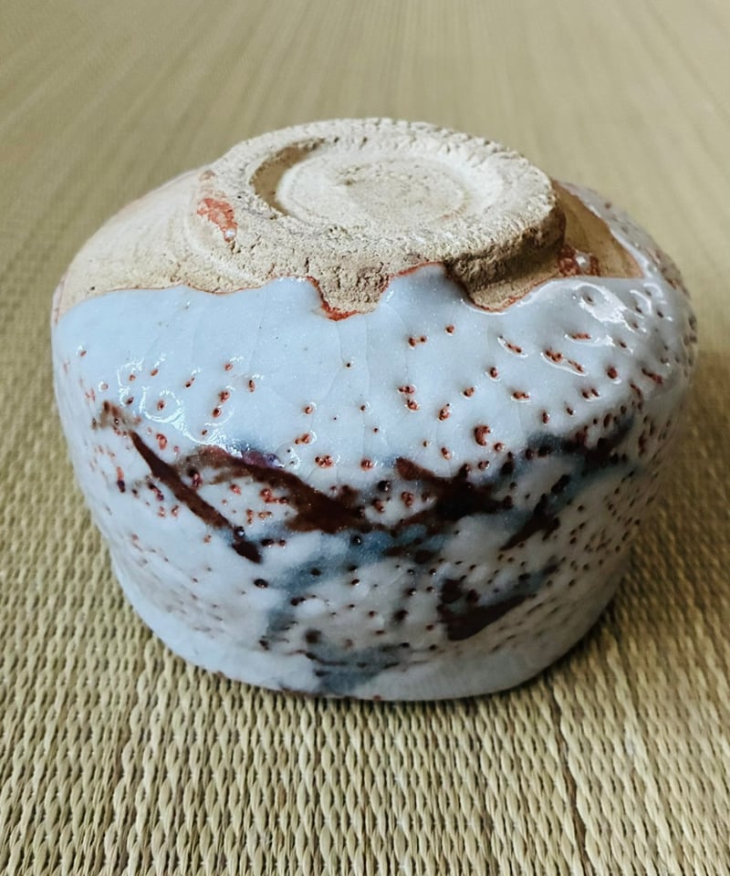 茶道具　茶碗　御題「水」志野茶碗　拝土窯 水野古麦作　栞　共箱　S133CW 美品】瀬戸 拝土窯 水野古麦造 志野茶碗 絵志野茶碗 | ginyoudo